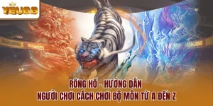 Rồng Hổ